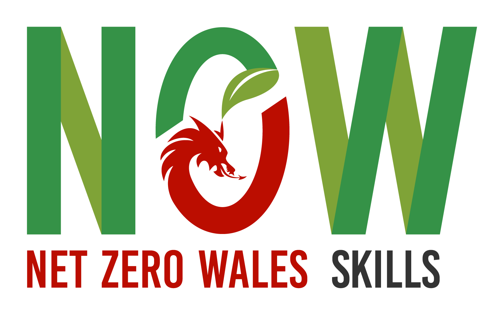 Net Zero Wales (N0W) Skills